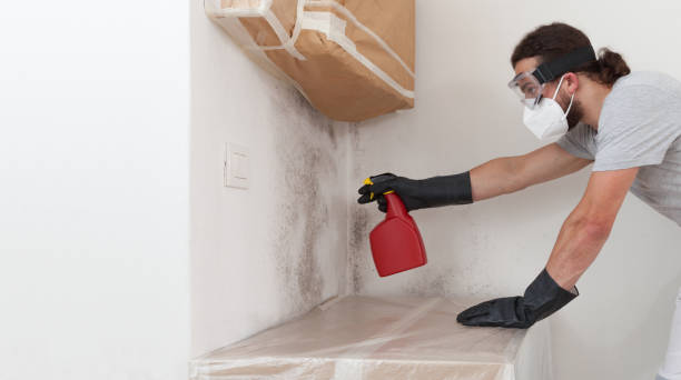 Professional Attic Mold Removal technician working in Clinton, NC