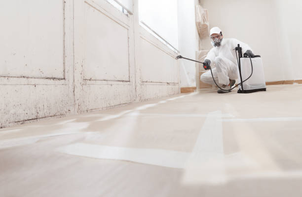 24/7 Emergency Attic Mold Removal experts in Clinton, NC